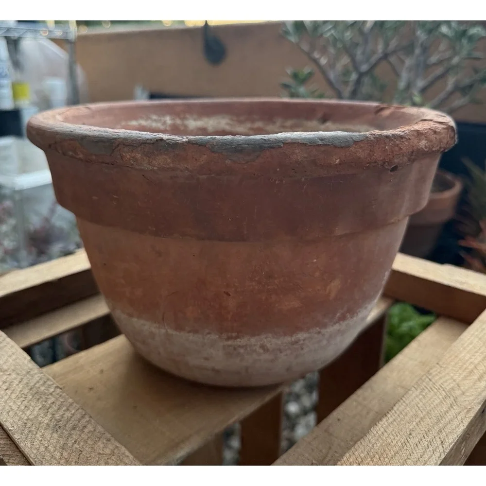 Aged Vintage Terracotta Planter Pot 10x6.24
